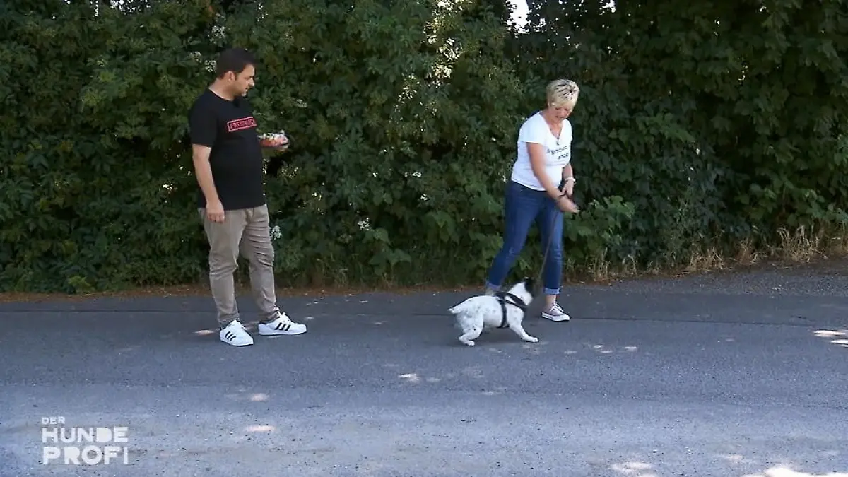 Lotte hat Kohldampf und Langeweile Training mit Möhrchen