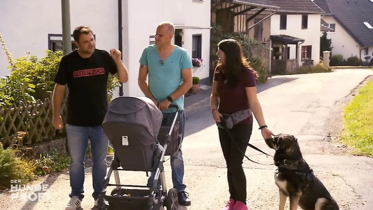 Drei Monate Training zahlen sich aus Leo hat viel gelernt