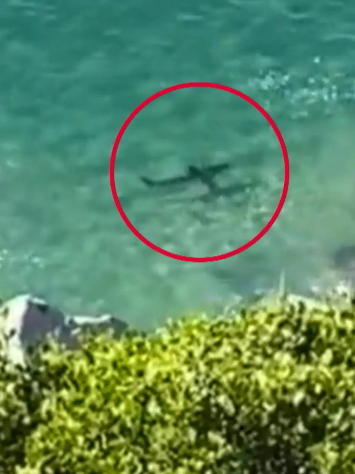 In einem Urlaubsressort an der südlichen Spitze des Landes kam es zu einem Hai-Angriff, der Schwimmer konnte nur noch tot aus dem Wasser geholt werden.