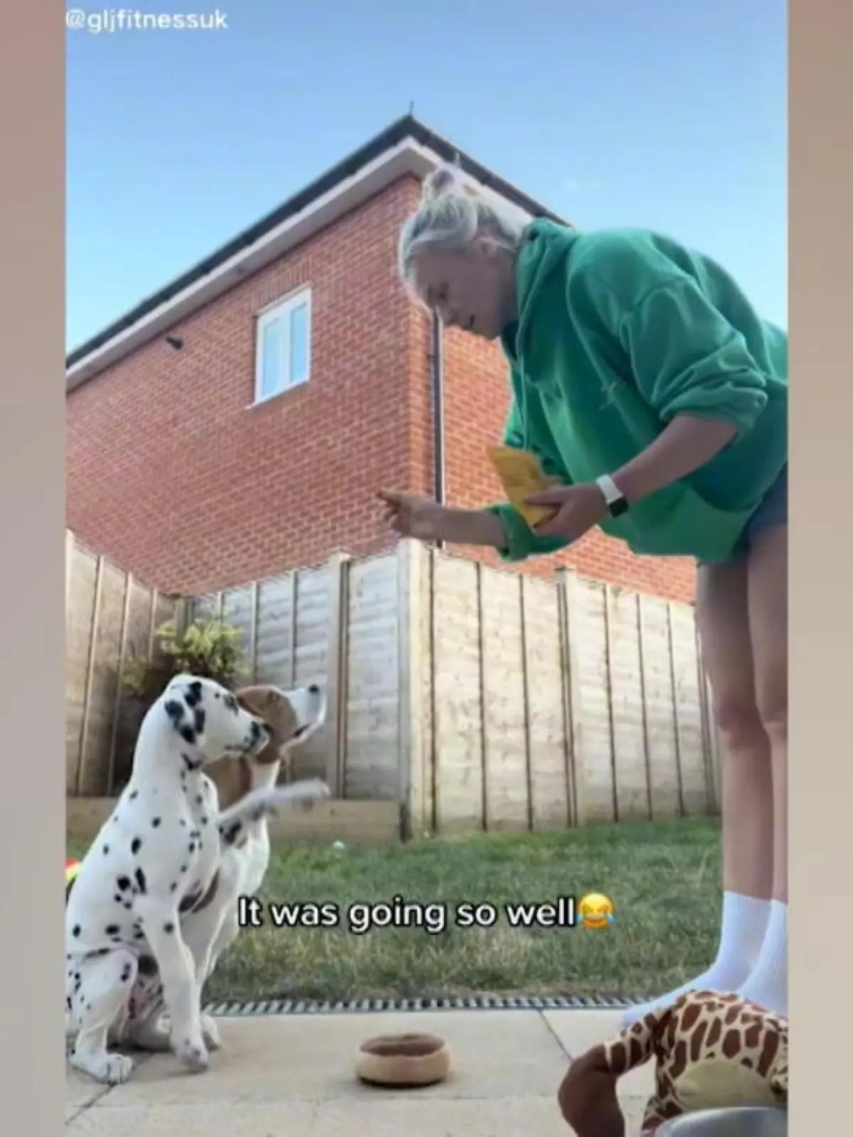 Einen Hundewelpen zu erziehen, fordert vielen Hundebesitzern alles ab. Aber wie anstrengend das Training für die Tiere sein kann, zeigt dieses Video. Die Protagonisten sind Frauchen Gee und ihre beiden Hunde Luna und Lola.