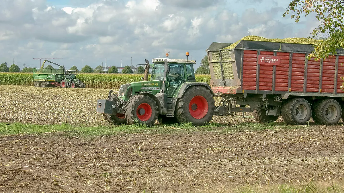 Landwirtschaft - Maisfeld wird gehäckselt - entweder für Viehfutter als Silage oder für eine Biogasanlage - gesehen am 04.09.2020 in der Feldmark Sehnde bei Hannover *** Agriculture Maize field is chaffed either for cattle feed as silage or for a biogas plant seen on 04 09 2020 in Feldmark Sehnde near Hannover