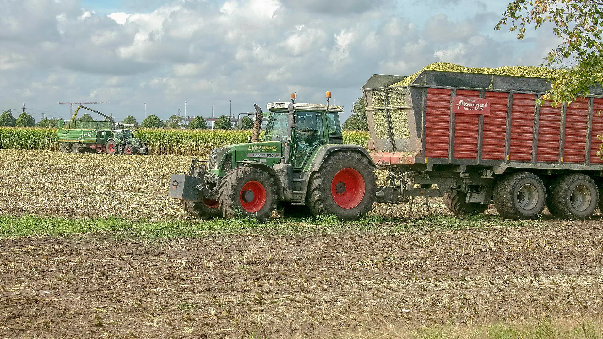  Landwirtschaft - Maisfeld wird gehäckselt - entweder für Viehfutter als Silage oder für eine Biogasanlage - gesehen am 04.09.2020 in der Feldmark Sehnde bei Hannover *** Agriculture Maize field is chaffed either for cattle feed as silage or for a biogas plant seen on 04 09 2020 in Feldmark Sehnde near Hannover