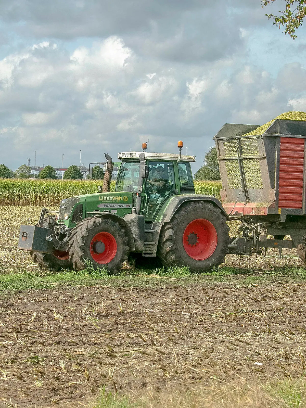  Landwirtschaft - Maisfeld wird gehäckselt - entweder für Viehfutter als Silage oder für eine Biogasanlage - gesehen am 04.09.2020 in der Feldmark Sehnde bei Hannover *** Agriculture Maize field is chaffed either for cattle feed as silage or for a biogas plant seen on 04 09 2020 in Feldmark Sehnde near Hannover