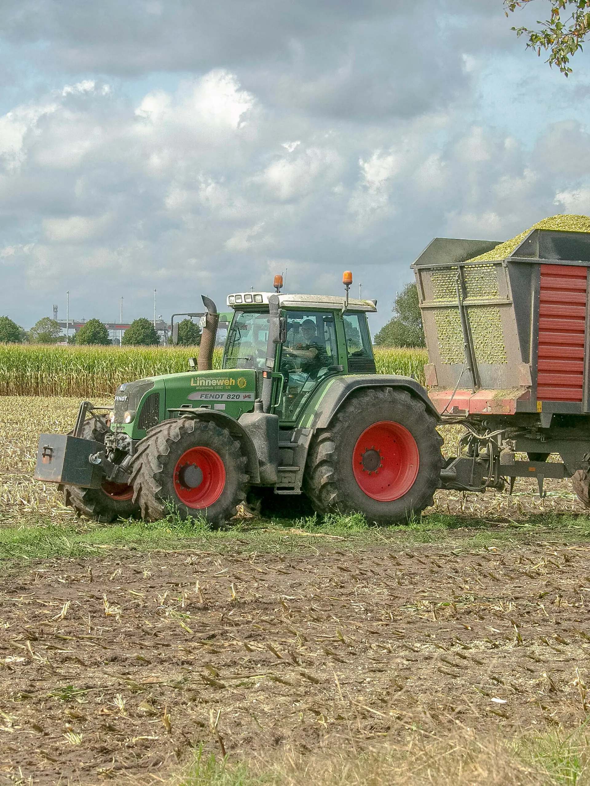  Landwirtschaft - Maisfeld wird gehäckselt - entweder für Viehfutter als Silage oder für eine Biogasanlage - gesehen am 04.09.2020 in der Feldmark Sehnde bei Hannover *** Agriculture Maize field is chaffed either for cattle feed as silage or for a biogas plant seen on 04 09 2020 in Feldmark Sehnde near Hannover