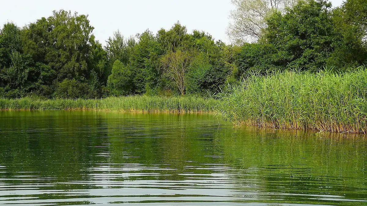 Am Badesee in Hamburg fehlt jede Spur des vermissten Jugendlichen. (Symbolbild)