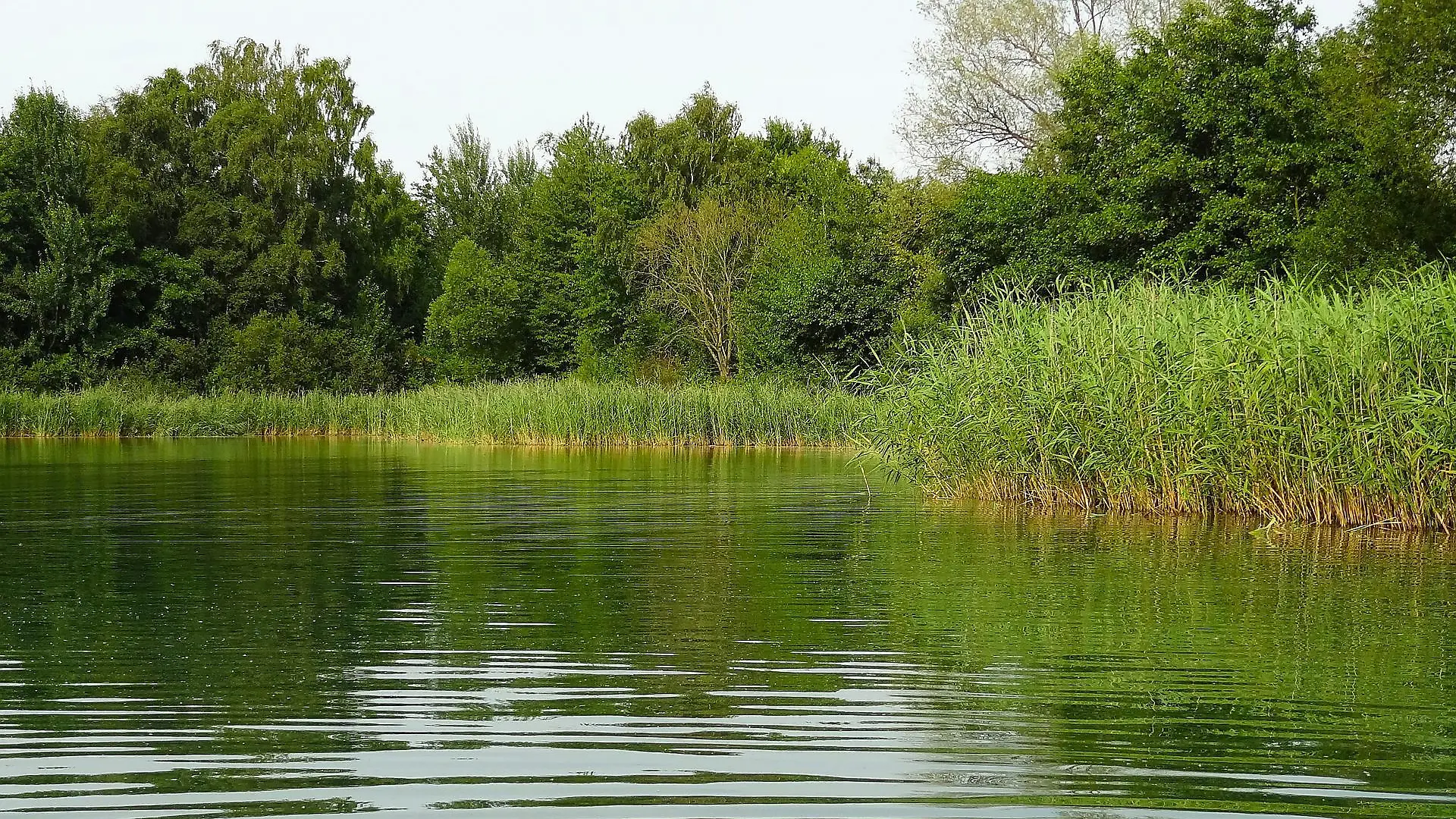 Am Badesee in Hamburg fehlt jede Spur des vermissten Jugendlichen. (Symbolbild)