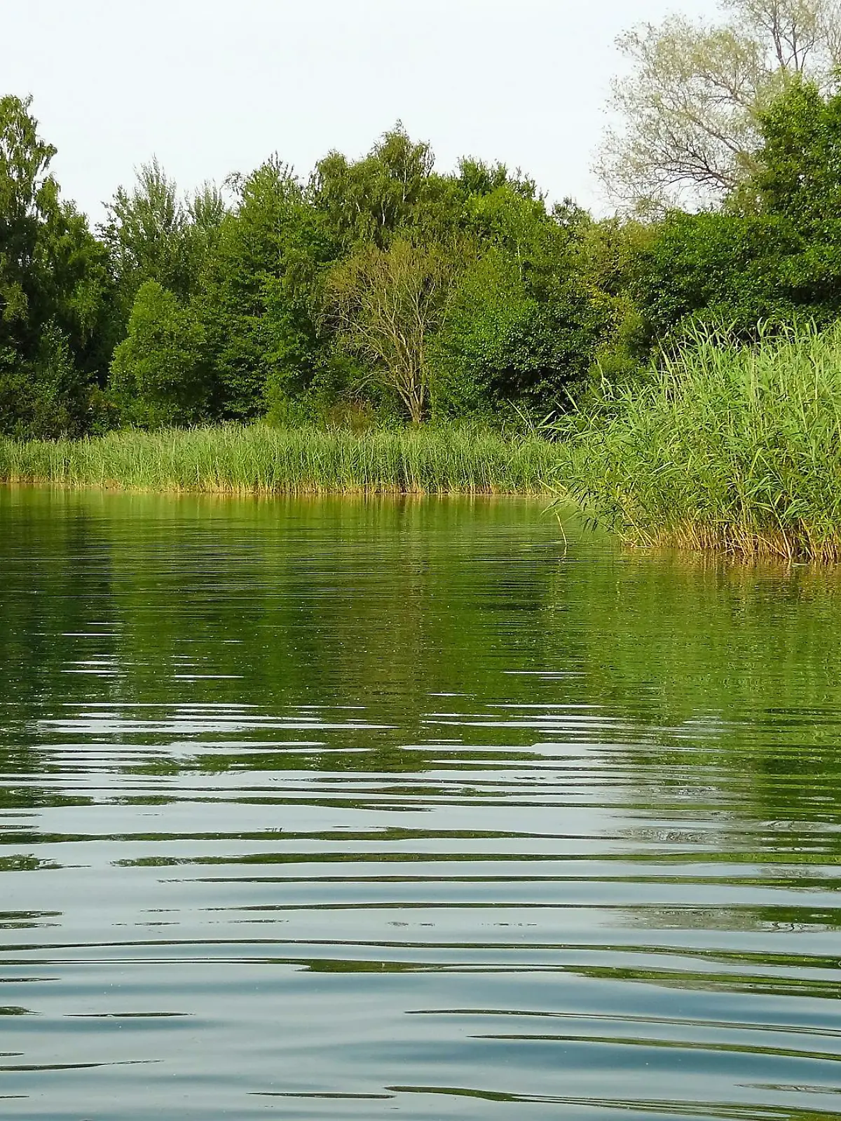 Am Badesee in Hamburg fehlt jede Spur des vermissten Jugendlichen. (Symbolbild)