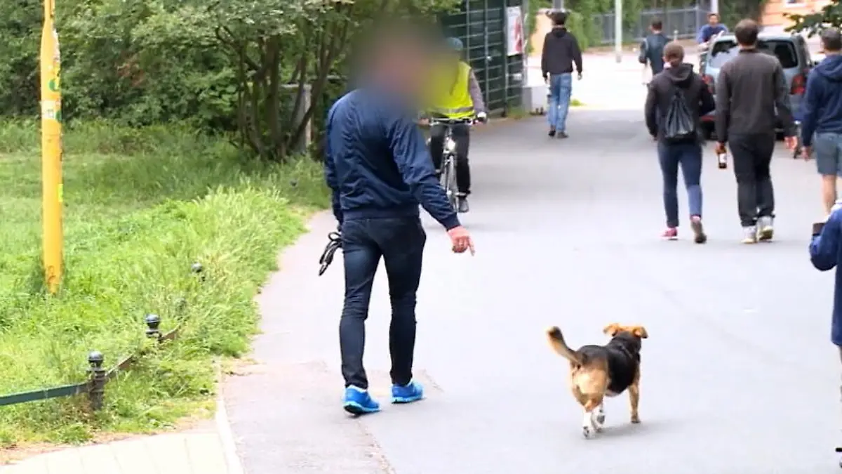 Der Hunde-Test: Mit oder ohne Leine? Hundebesitzer leinen ihre Hunde nur selten an