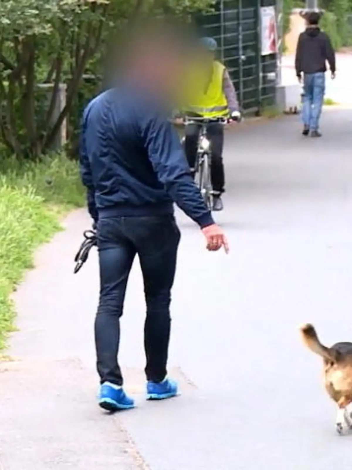 Bild zu: "Der Hunde-Test: Mit oder ohne Leine?"
