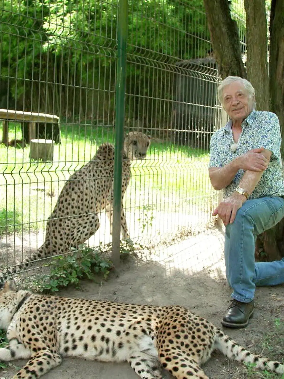 Hans-Peter Gaupp lebt seit über 50 Jahren mit Geparden zusammen.