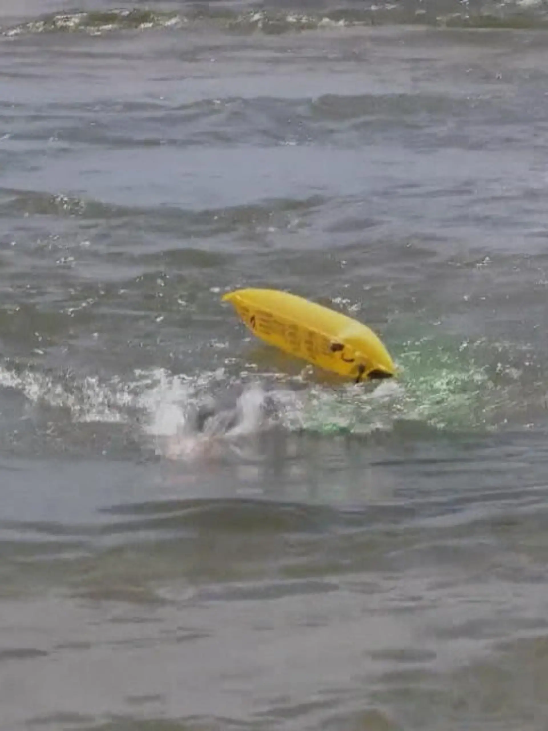Bild zu: "Extremschwimmer krault 1.200 Kilometer"