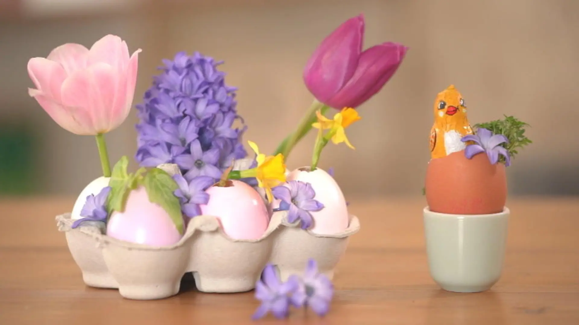 Das sind unsere Bastel-Ideen zu Ostern Wir zeigen Ihnen wie's geht