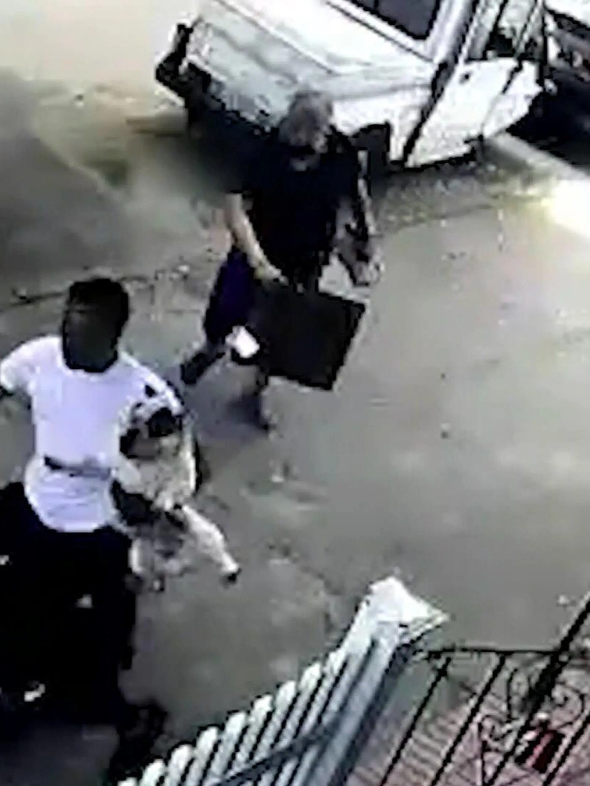 Ein Mann klaut auf seinem Roller einen Hund auf offener Straße. Das Überwachungskamera-Video zeigt, wie der Mann das Tier erst einmal nur streichelt, ihn dann plötzlich hochnimmt und mit ihm weg fährt. Der Hundehalter kann ihn nicht aufhalten.