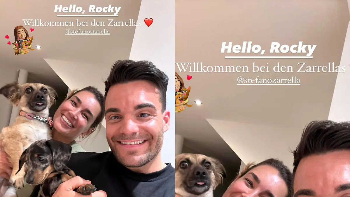 Jana Ina Zarrella freut sich mit ihrem Schwager Stefano über den flauschigen Familienzuwachs.