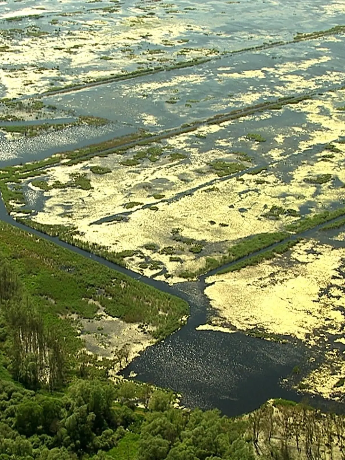 Bild zu: "Vorpommerns Auen"