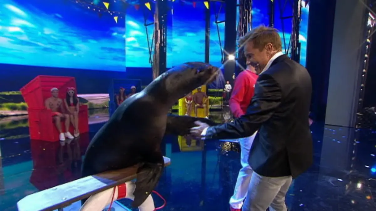Erwins Seelöwen sind Bohlens liebste Tiernummer Das Supertalent 2015: Finale