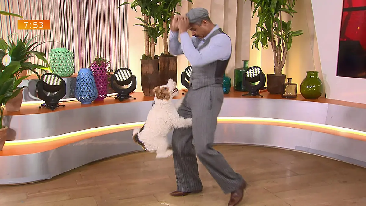 Kann jedes Haustier Tricks wie Hündin LouLou? Jean Rodrigue Funke gibt Tipps
