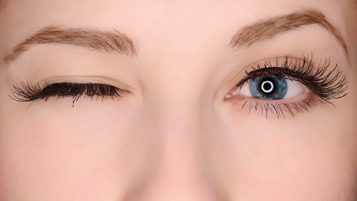 Die 6 besten Lebensmittel für die Augen Für einen guten Durchblick