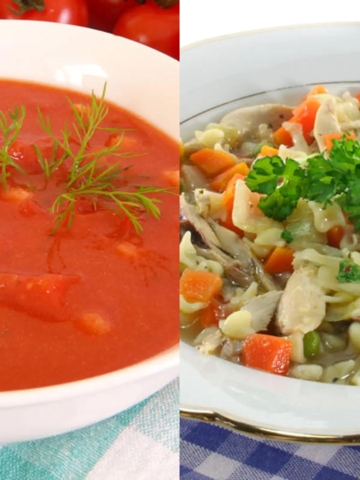 Bild zu: "Tomaten- und Hühnersuppe: So kochen Sie sie selbst"