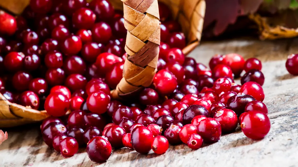 Die 4 besten Lebensmittel für die Blase Damit ist endlich Ruhe