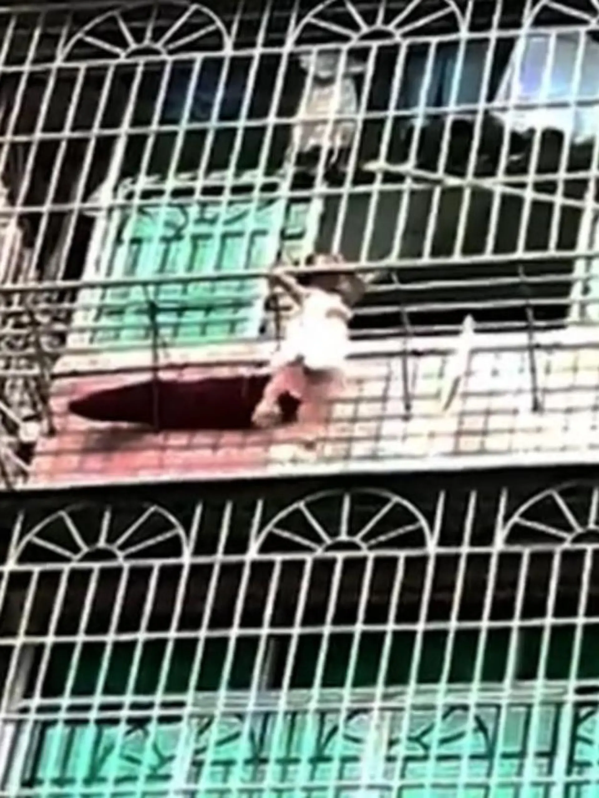 Am vergangenen Freitag klettert das dreijährige Mädchen auf den Balkon, als ihre Eltern einkaufen gehen. Dann passiert das Unglück: Sie rutscht zwischen die Metallstäbe. Ihre Hilfeschreie alarmieren die Nachbarn – und die zögern nicht lang. Im Video sehen Sie die dramatische Rettung.