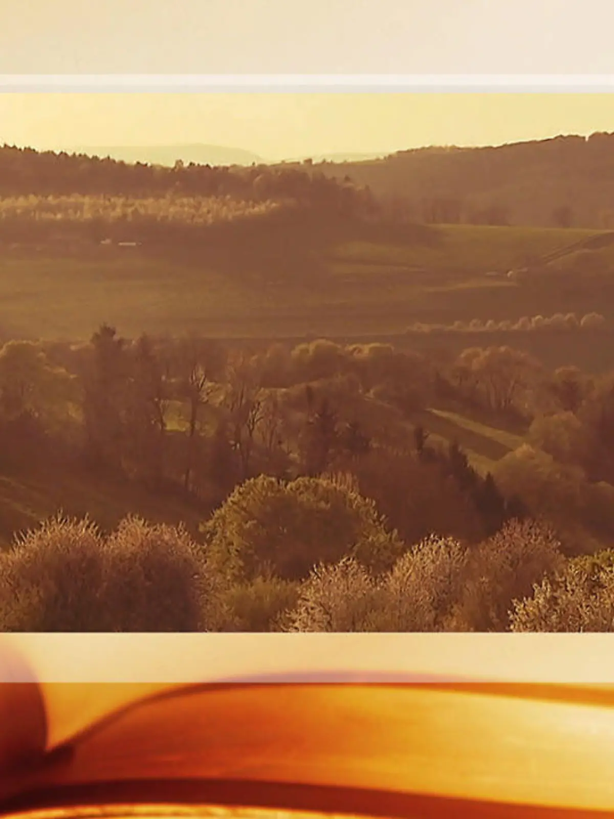 Bild zu: "Umwelt schützen"