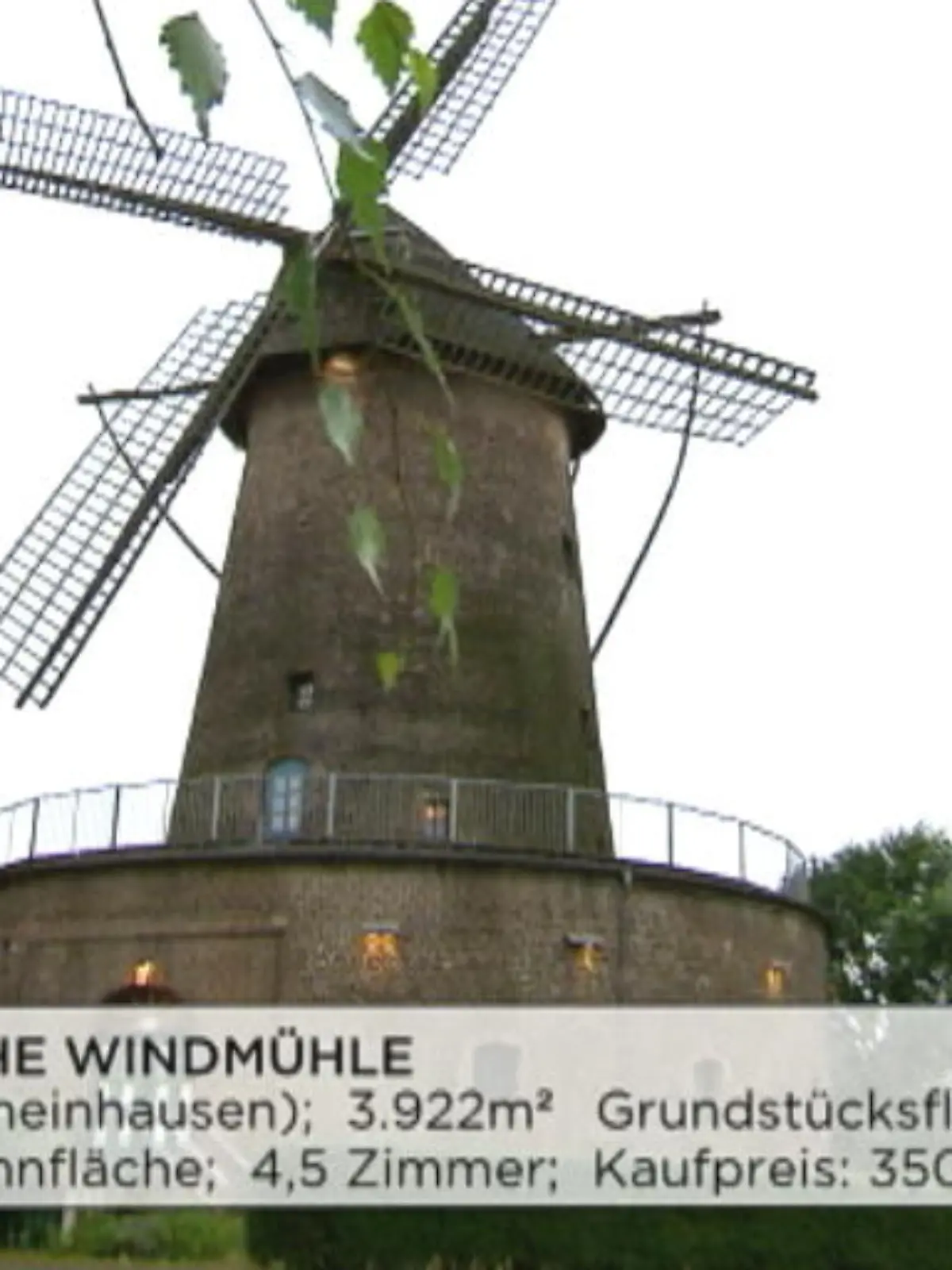 Bild zu: "Ist eine alte Mühle Bernds Traumobjekt? "