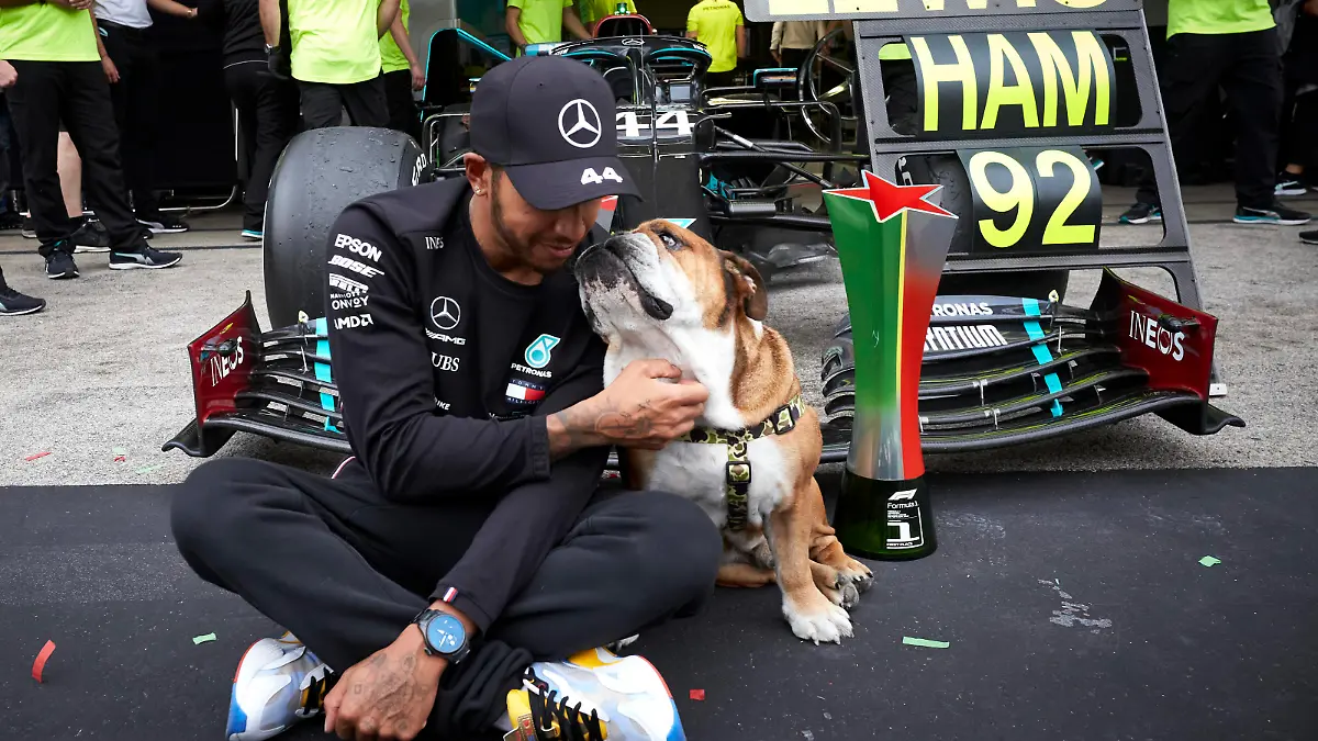  2020 Portuguese GP ALGARVE INTERNATIONAL CIRCUIT, PORTUGAL - OCTOBER 25: Lewis Hamilton, Mercedes F1 W11 EQ Performance, celebrates his record-breaking 92nd Formula 1 victory with his pet dog during the Portuguese GP at Algarve International Circuit on Sunday October 25, 2020, Portugal. Photo by Steve Etherington / LAT Images Images PUBLICATIONxINxGERxSUIxAUTxHUNxONLY SNE18994