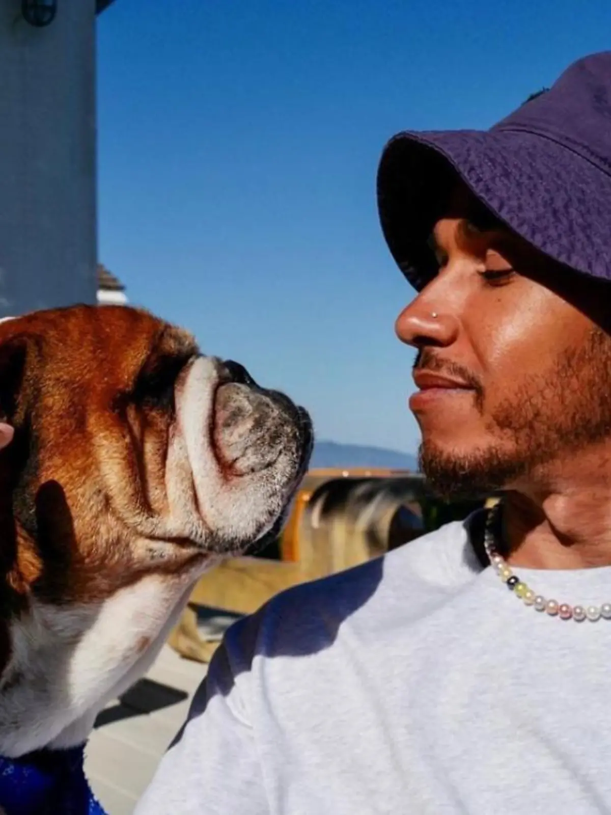 Lewis Hamilton und Hund Roscoe