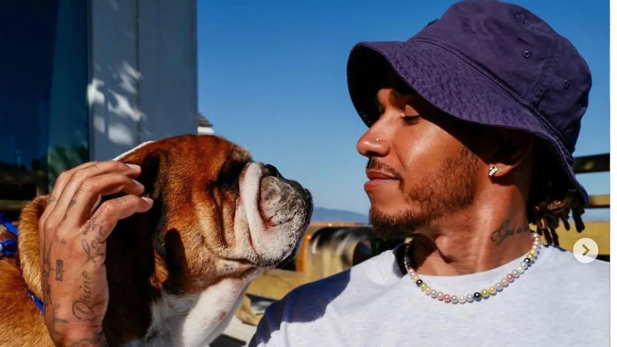 Lewis Hamilton und Hund Roscoe