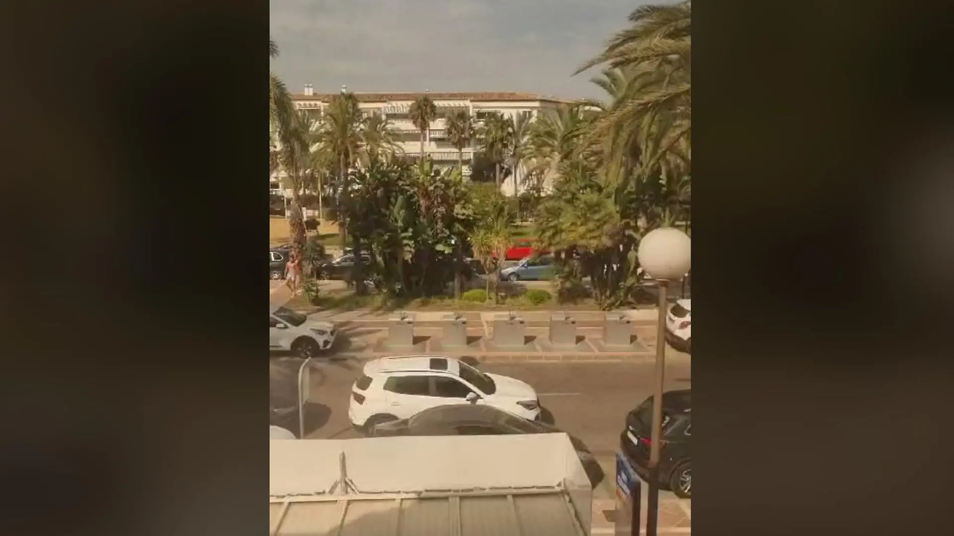 Promenade mit Palmen und geparkten Autos an der Costa del Sol.