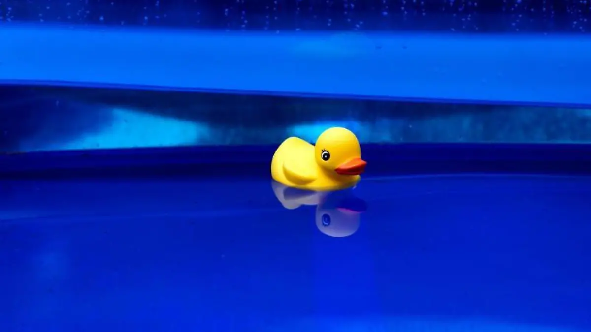 Gelbe Gummiente im Swimmingpool
