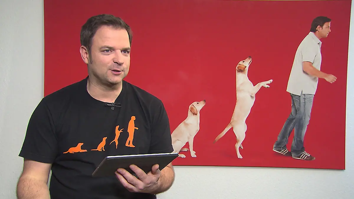 Hundeprofi Martin Rütter beantwortet Zuschauerfragen Haarige Probleme sind seine Mission