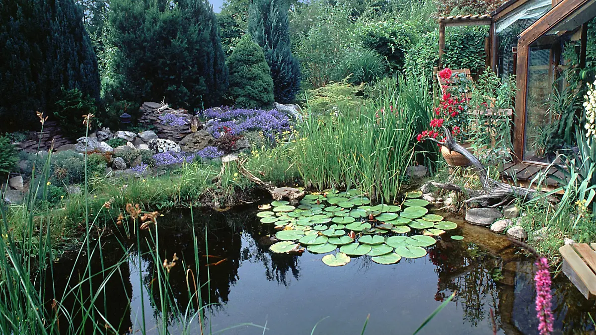 Gartenteich mit Wintergarten. | garden pond with winter garden. | Verwendung weltweit