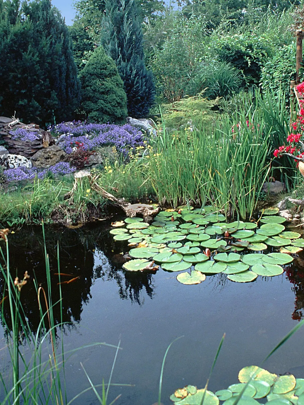 Gartenteich mit Wintergarten. | garden pond with winter garden. | Verwendung weltweit