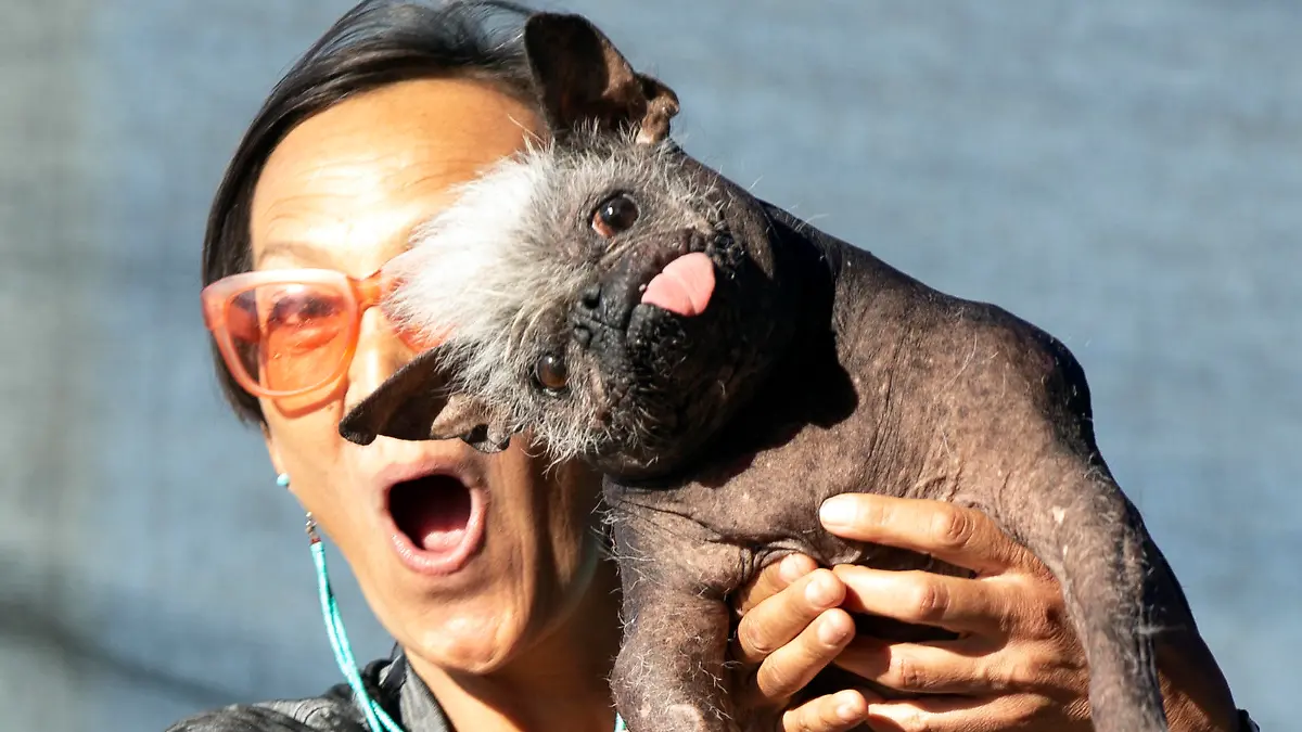 Jeneda Benally of Flagstaff, Ariz. poses for a photo with her dog Mr. Happy Face, the winner of the 2022 World's Ugliest Dog competition, Friday, June 24, 2022, in Petaluma, Calif. (AP Photo/D. Ross Cameron)