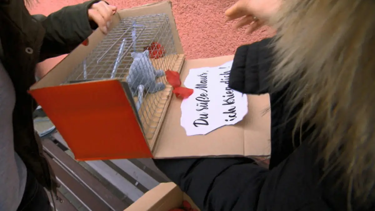 Anmachversuche werden bedrohlich Anne ist sauer