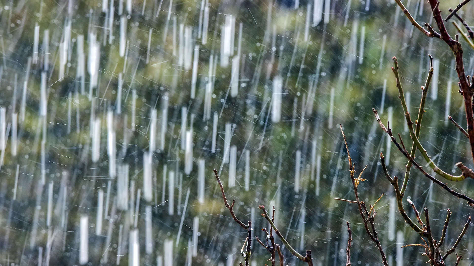 ARCHIV - 11.03.2021, Mecklenburg-Vorpommern, Schwerin: Heftige Schauer, gar Dauerregen über einige Tage können so viel Wasser bringen, dass die Gartenböden es nicht mehr aufnehmen können. Der Deutsche Wetterdienst (DWD) zieht am 30.08.2021 seine vorläufige Bilanz des Sommers 2021. Bisher zeichnet sich ab, dass es von Anfang Juni bis Ende August deutlich zu viel geregnet hat. (zu dpa «Viel zu viel Regen im Sommer - Wetterdienst zieht Bilanz») Foto: Jens Büttner/dpa-Zentralbild/dpa-tmn +++ dpa-Bildfunk +++
