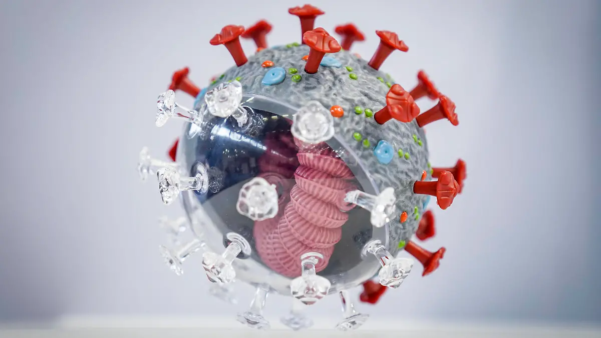 Symbolbild Coronavirus Symbolfoto Coronavirus - InfektionCorona Virus, Sars-Cov2, neue Mutante, BA.5 - Corona Virus Modell der Firma PHYWE Deutschland *** Symbol image coronavirus symbol photo coronavirus infection corona virus, sars cov2, new mutant, BA 5 corona virus model of the company PHYWE Germany