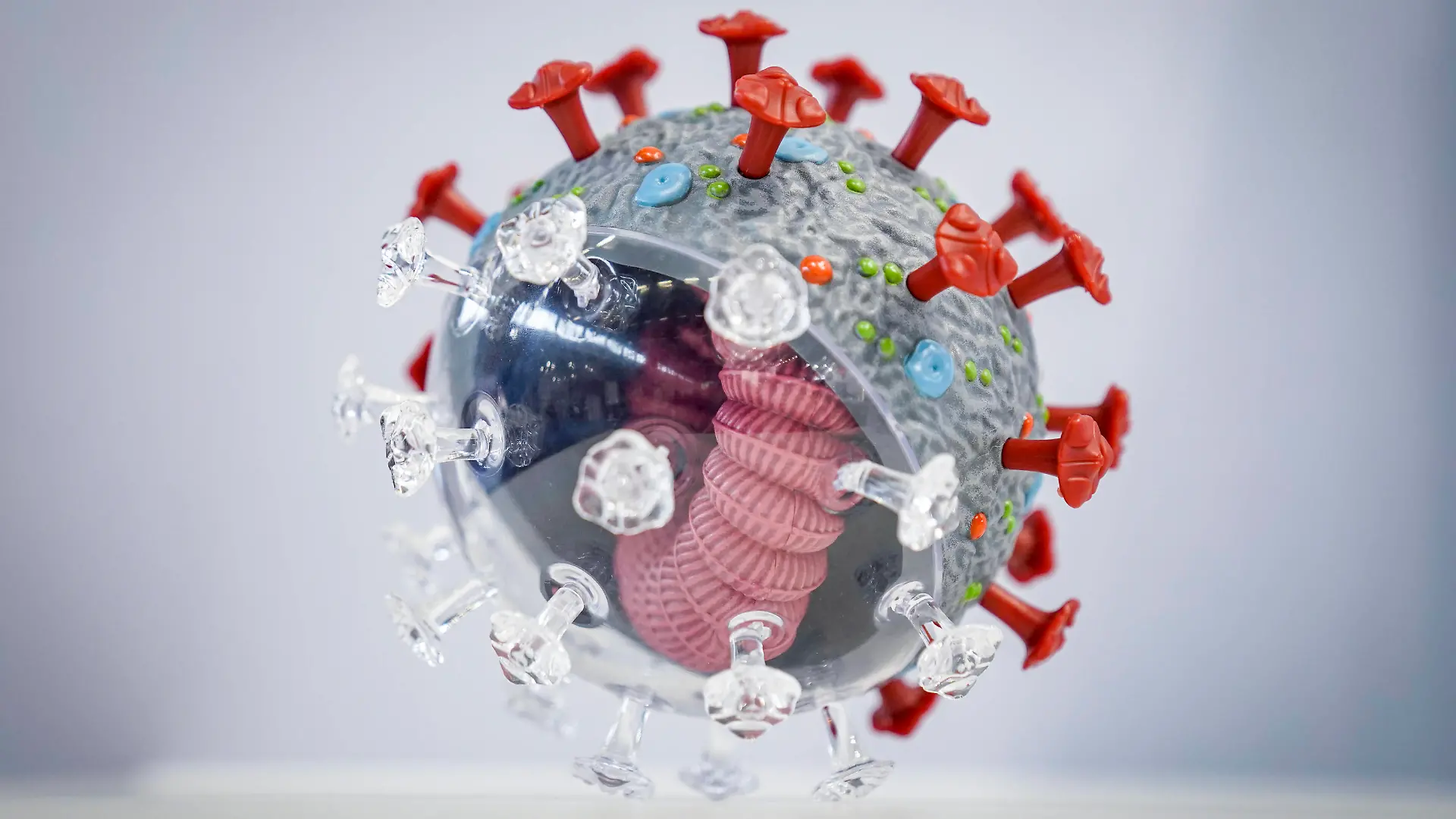 Symbolbild Coronavirus Symbolfoto Coronavirus - InfektionCorona Virus, Sars-Cov2, neue Mutante, BA.5 - Corona Virus Modell der Firma PHYWE Deutschland *** Symbol image coronavirus symbol photo coronavirus infection corona virus, sars cov2, new mutant, BA 5 corona virus model of the company PHYWE Germany