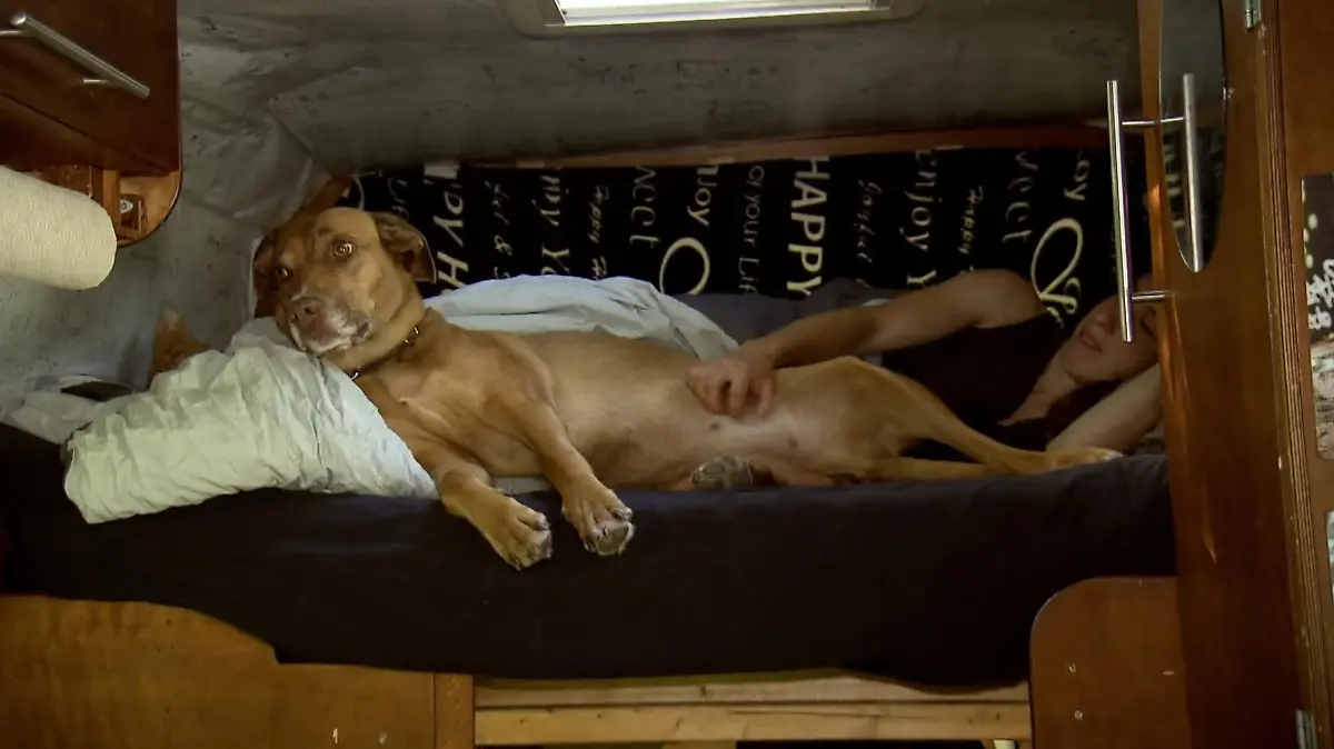 Für Jamina Silah sind Hündin Gin und Huhn Kücki das Wichtigste. Da wird auch schon mal zu dritt im Bett gekuschelt.
