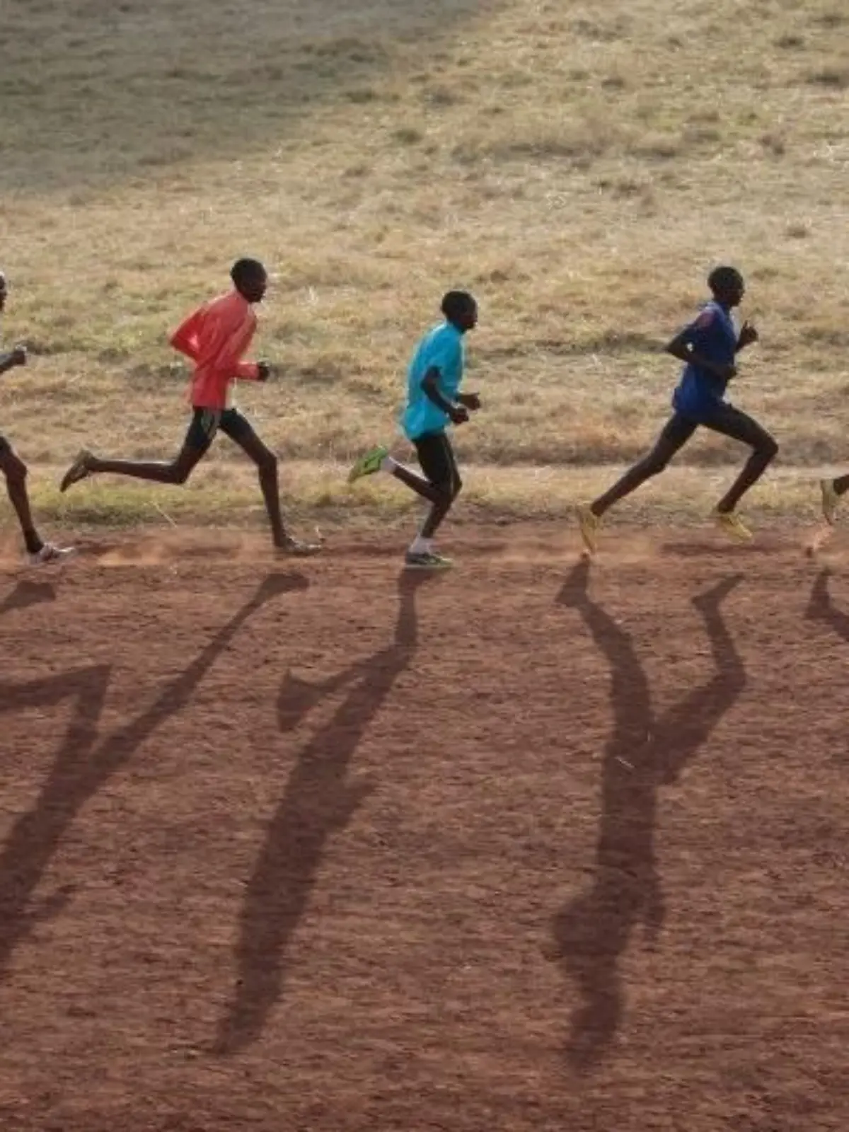 Bild zu: "Gun Runners"