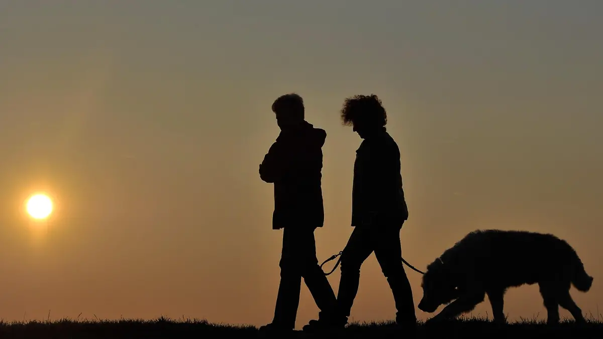 Der Hund als Dating-Hilfe Kennenlern-Tipp