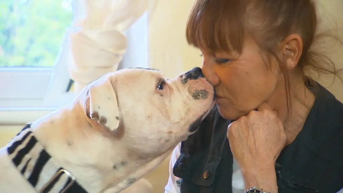 Ute will beim Supertalent tierisch abräumen WG-Leben mit Hunden