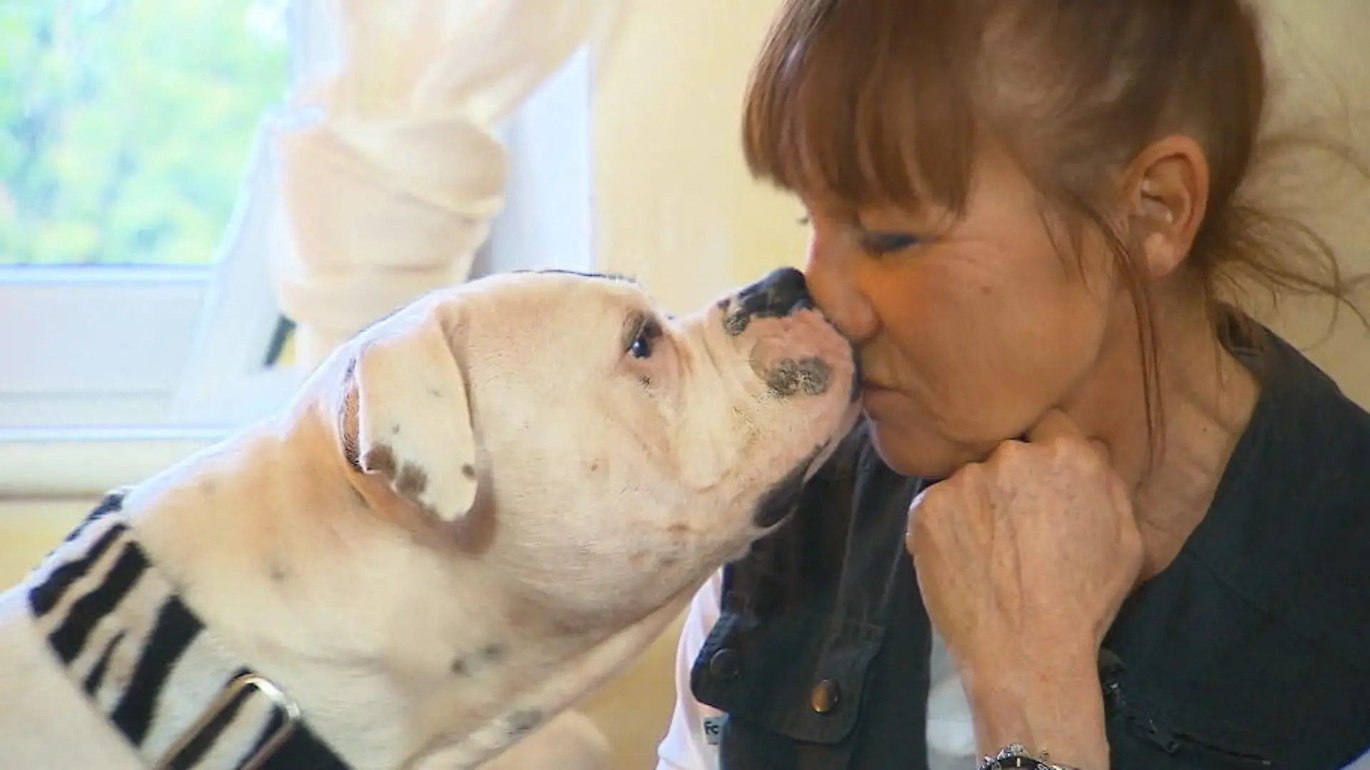 Ute will beim Supertalent tierisch abräumen WG-Leben mit Hunden