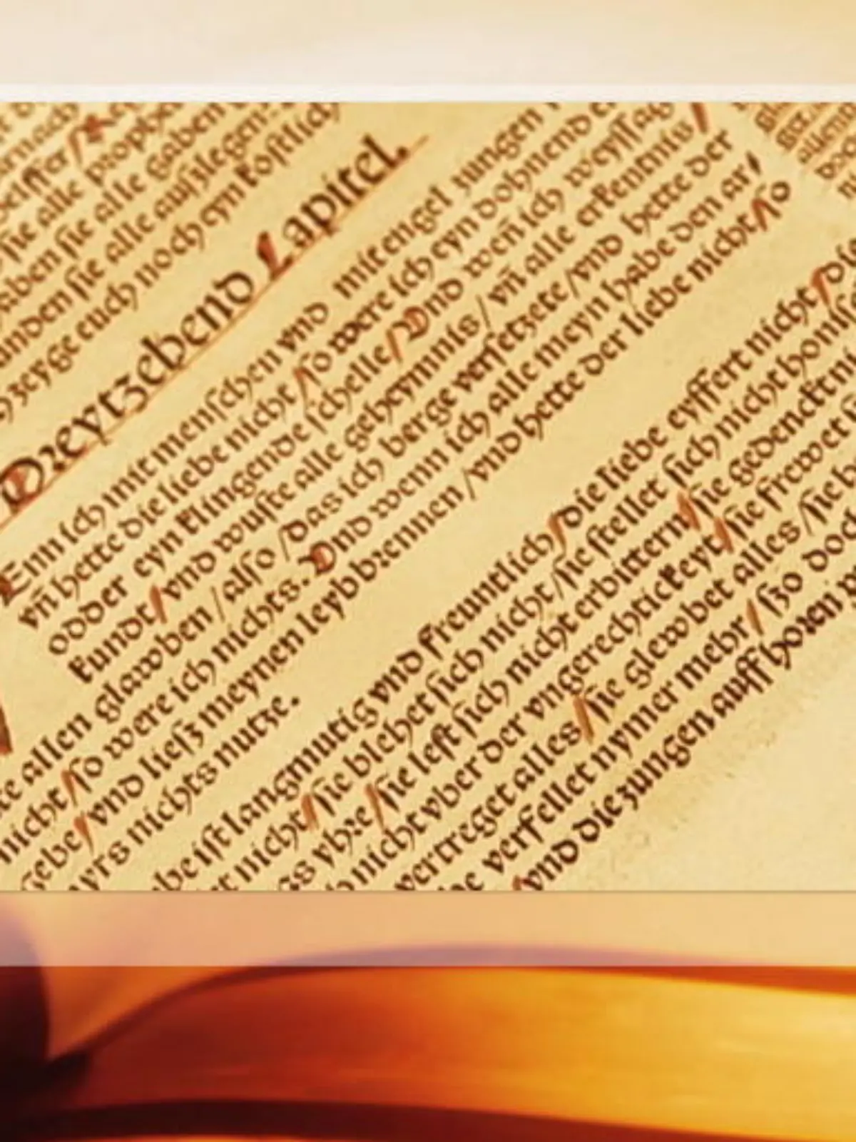 Bild zu: "Neue Lutherbibel"