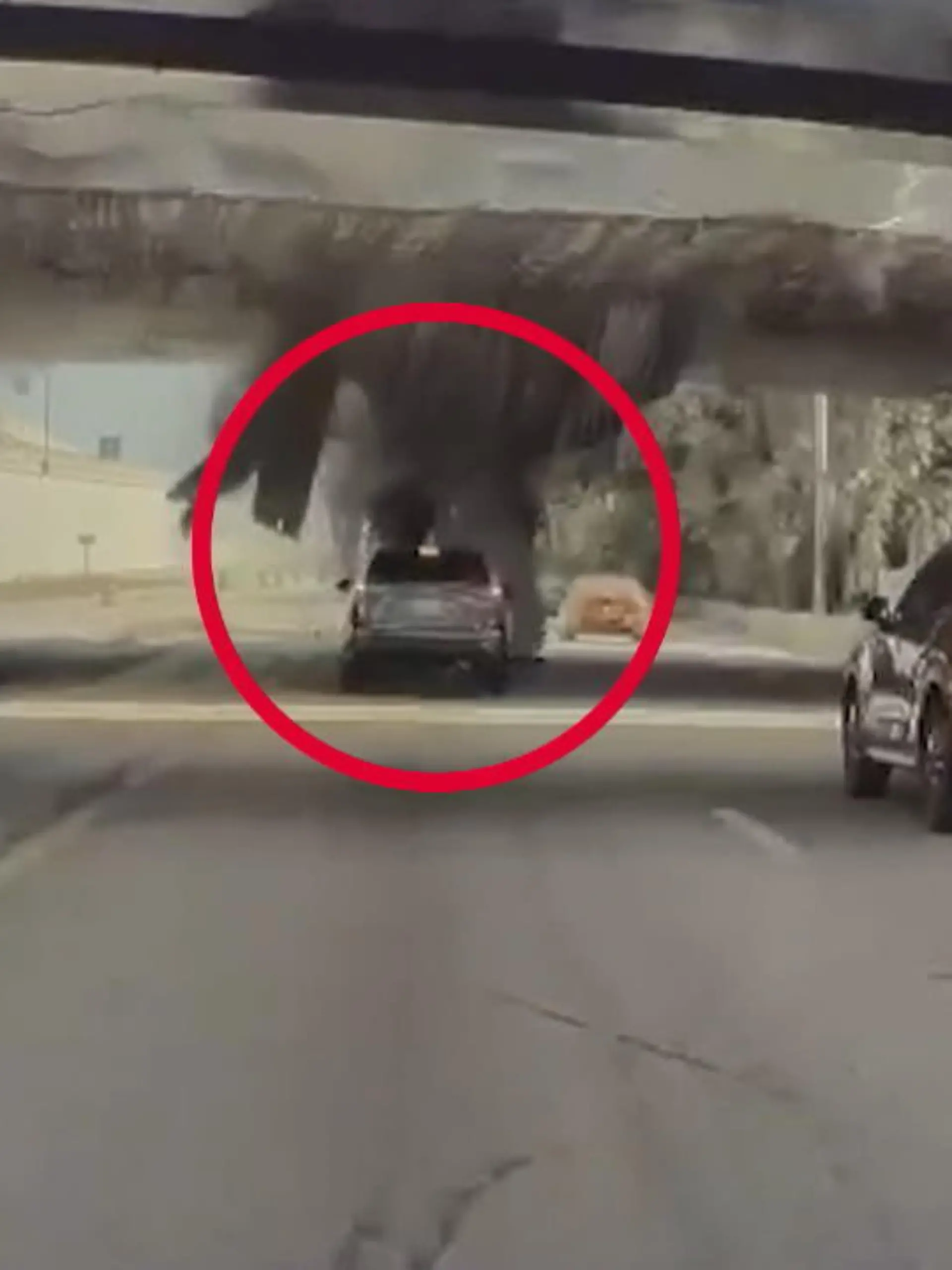 Auf einer Autobahn in Florida streifte ein Transporter die Unterseite einer Brücke. Was folgt ist ein übler Zusammenstoß, der glücklicherweise noch recht glimpflich ausging.