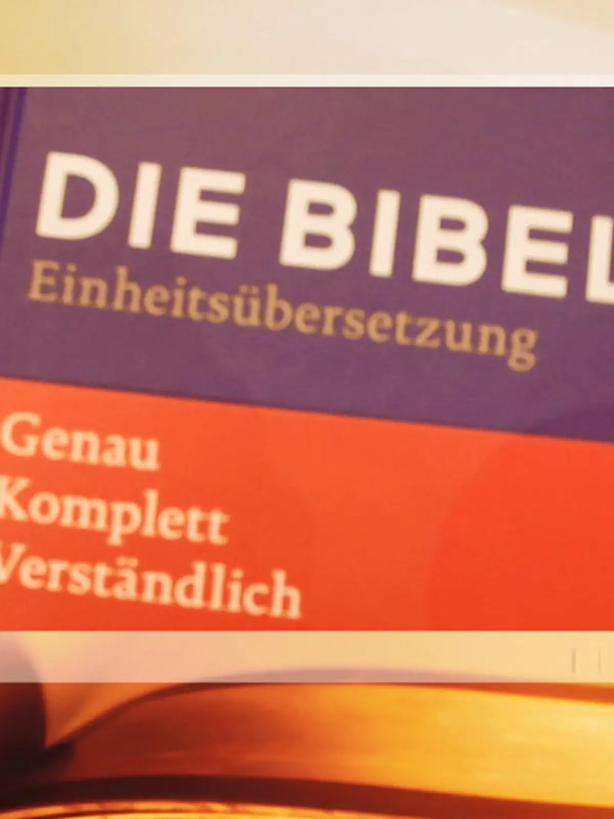 Bild zu: "Neue Katholische Bibelübersetzung"