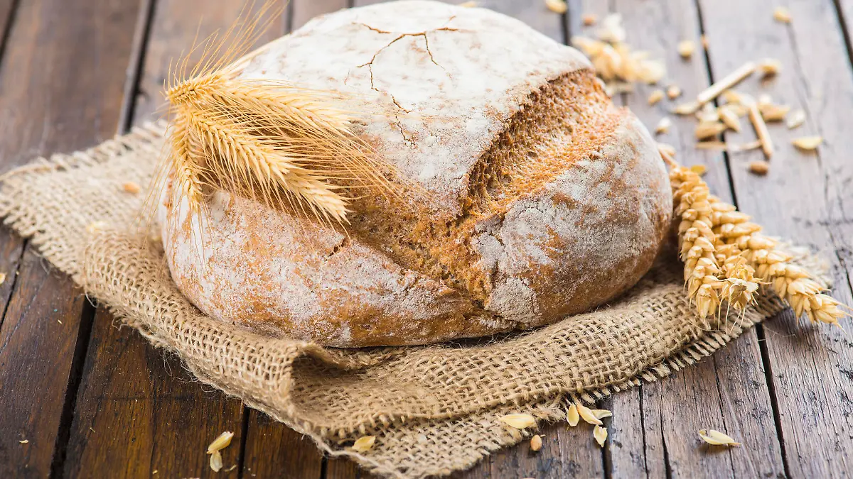 Drei Brotbackautomaten im Test! Günstig, mittelpreisig oder teuer - welcher überzeugt?