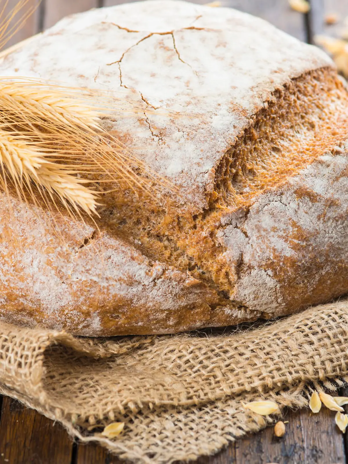 Bild zu: "Drei Brotbackautomaten im Test!"